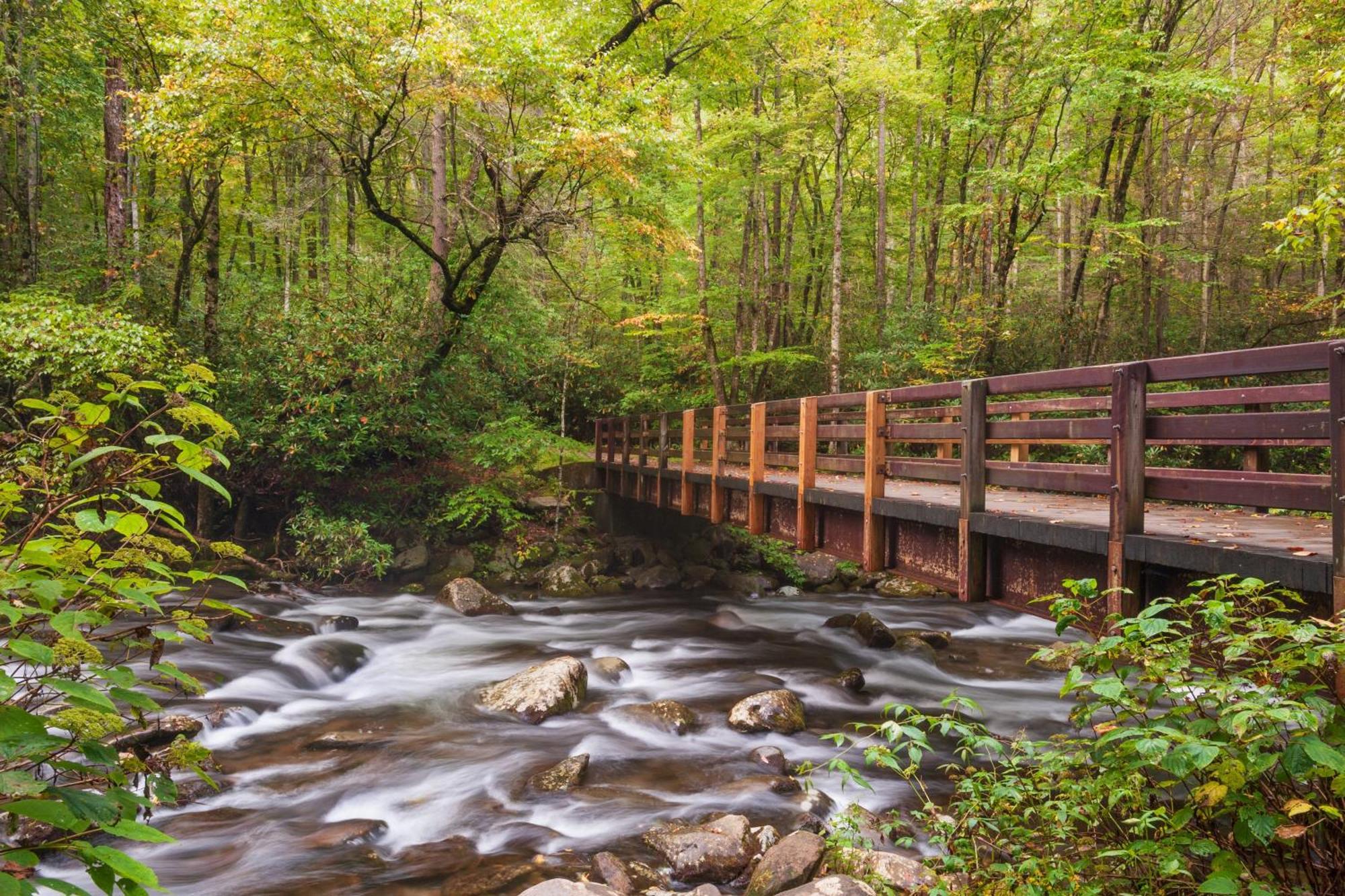 Whispering Winds, Hot Tub, Game Room, Wifi, 1089 Free Tickets Each Paid Day, Dollywood And More Gatlinburg Extérieur photo